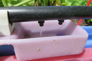 irrigation est un accessoire à utiliser avec le bac LegumCub.