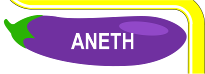 L'ANETH est une plante cultivable en jardinière LEGUMCUB pour toutes vos recettes.