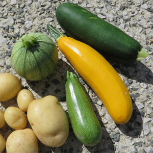 Quelques légumes brillent au soleil de juillet.